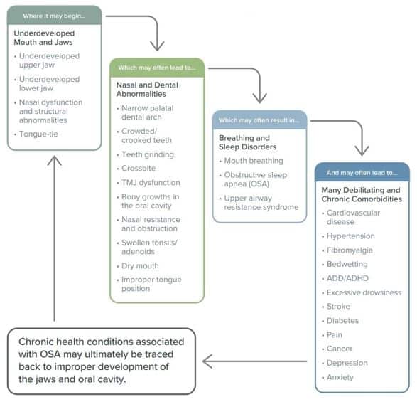 A Developmental Approach to Obstructive Sleep Apnea and Human Health